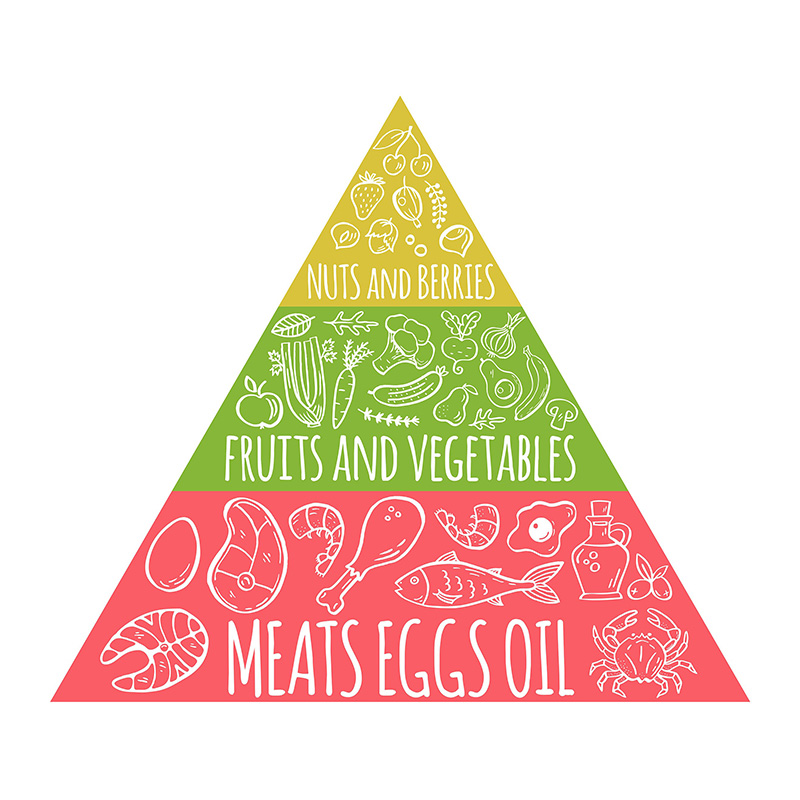Paleo-Ernährungspyramide
